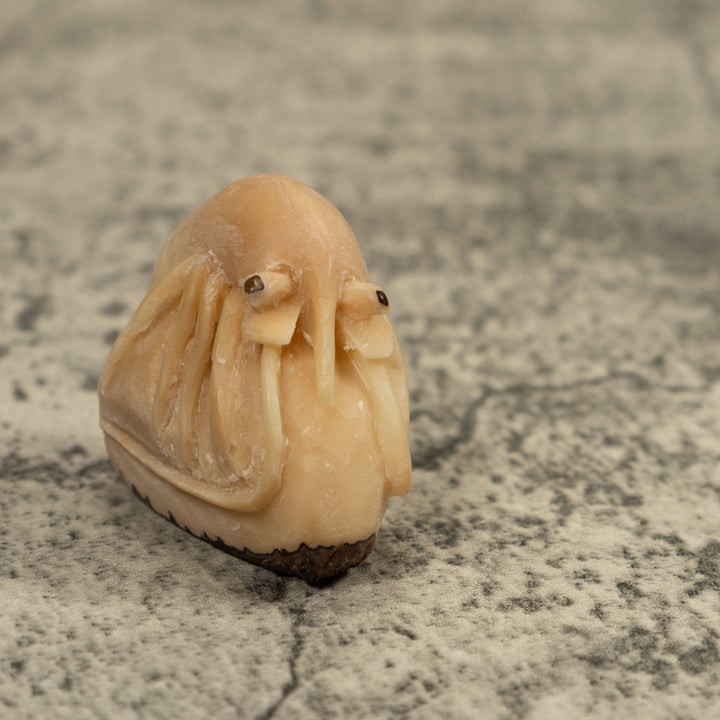 Vintage White Shrimp Tagua Carving