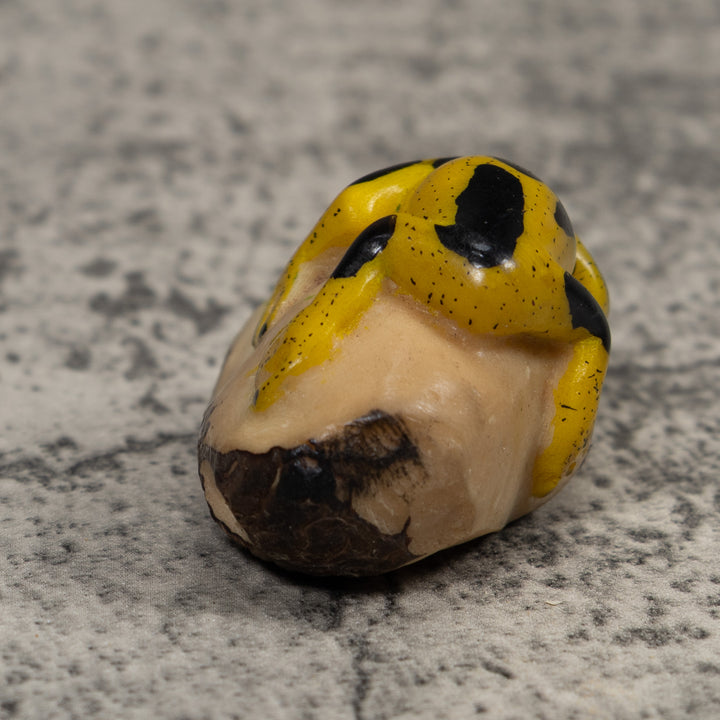 Vintage Yellow And Black Frog Tagua Carving