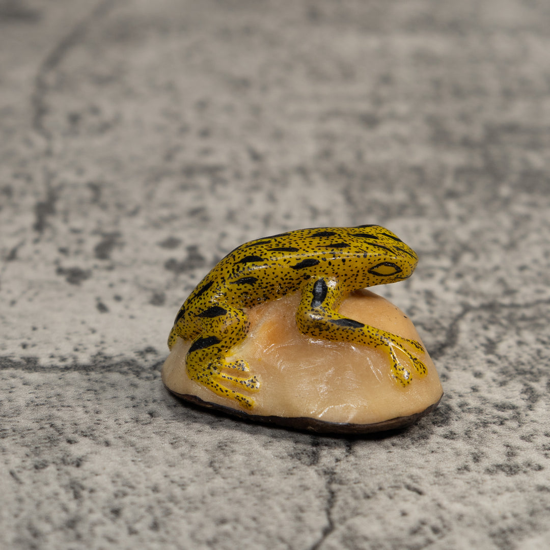 Yellow And Black Poison Dart Frog Tagua Carving