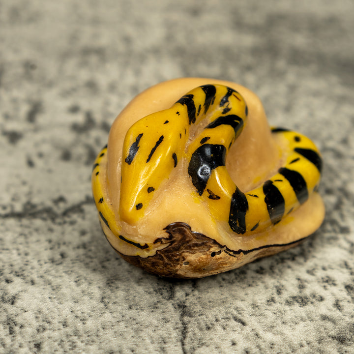 Vintage Black And Yellow Snake Tagua Carving