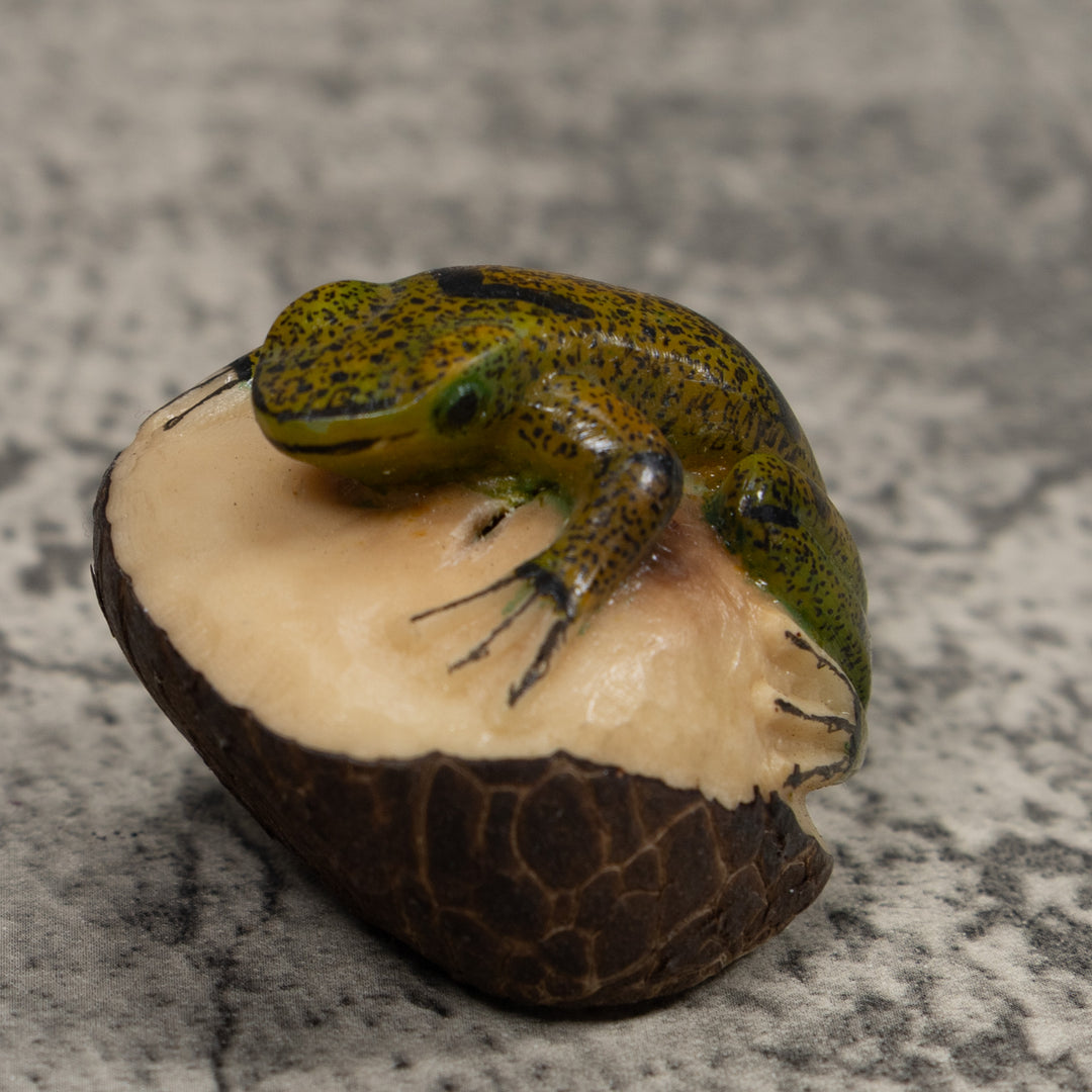 Jungle Frog Toad Tagua Carving