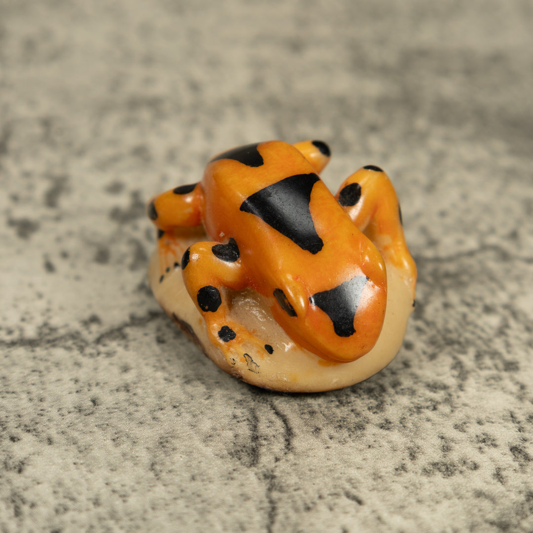 Vintage Gold And Black Poison Dart Frog Tagua Carving