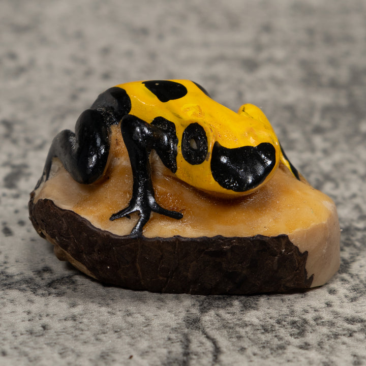 Poison Dart Frog Tagua Carving