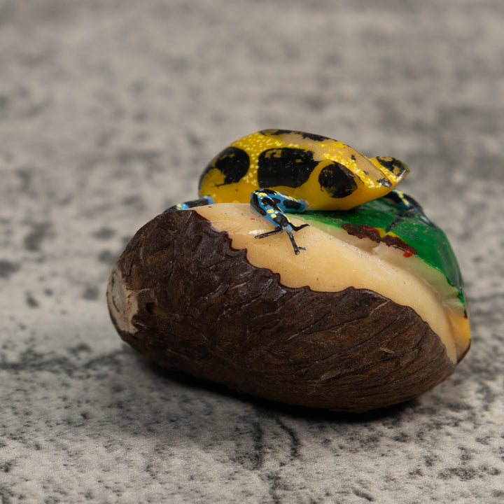 Blue Gold And Green Poison Dart Frog Tagua Carving