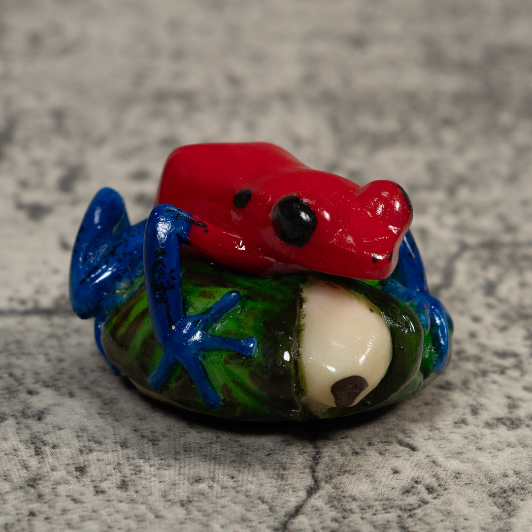 Red Blue And Green Poison Dart Frog Tagua Carving