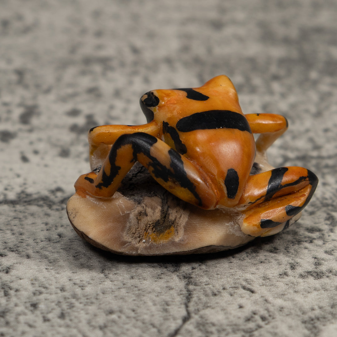 Vintage Black And Gold  Poison Dart Frog Tagua Carving