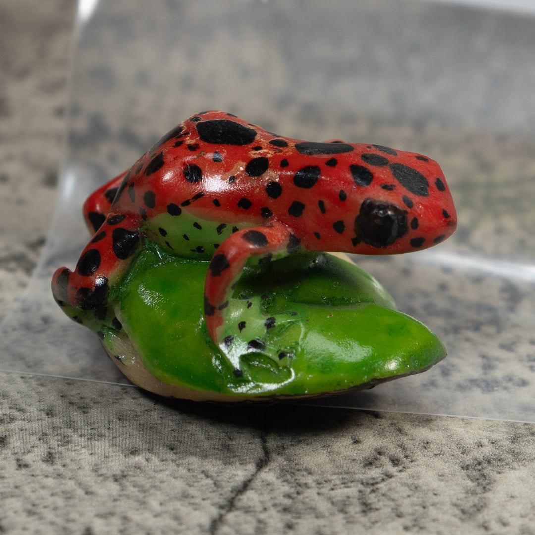 Red Black And Green Poison Dart Frog Tagua Carving