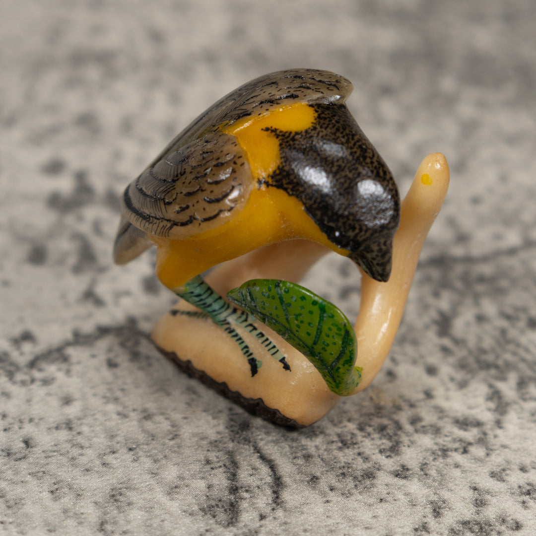 Undercut Oriole Bird Tagua Carving