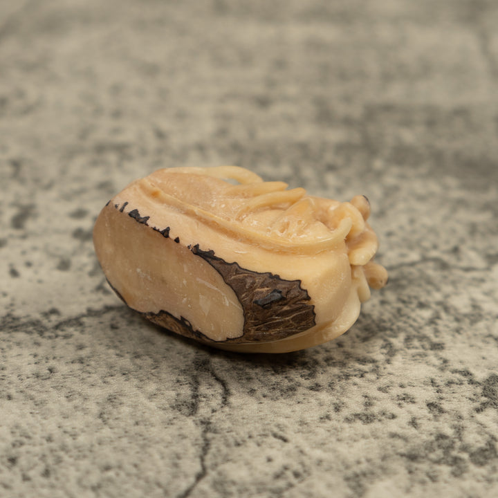 Vintage White Shrimp Tagua Carving