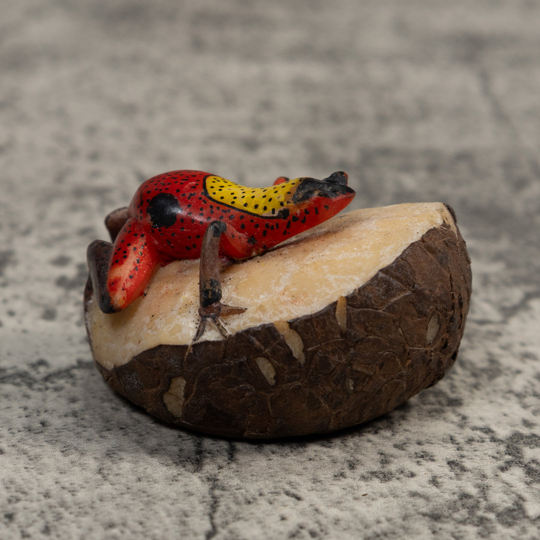 Vintage Red And Yellow Poison Dart Frog Tagua Carving