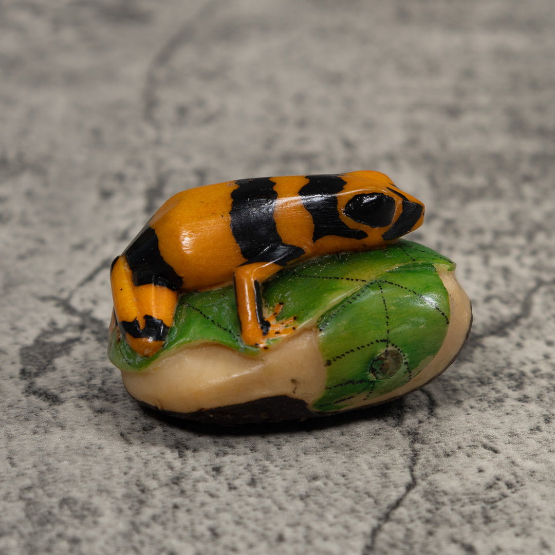 Gold Green And Black Frog Tagua Carving