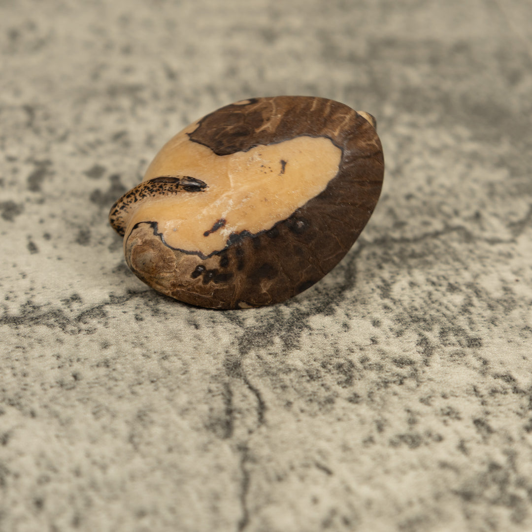 Vintage Sea Singray Tagua Carving