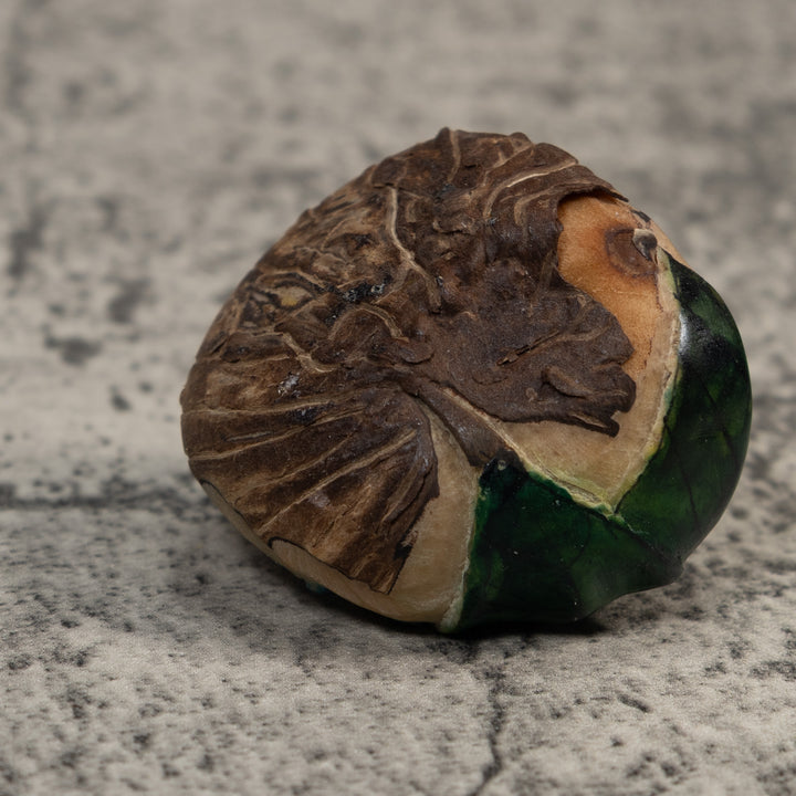 Vintage Black Gold And Green Frog Tagua Carving