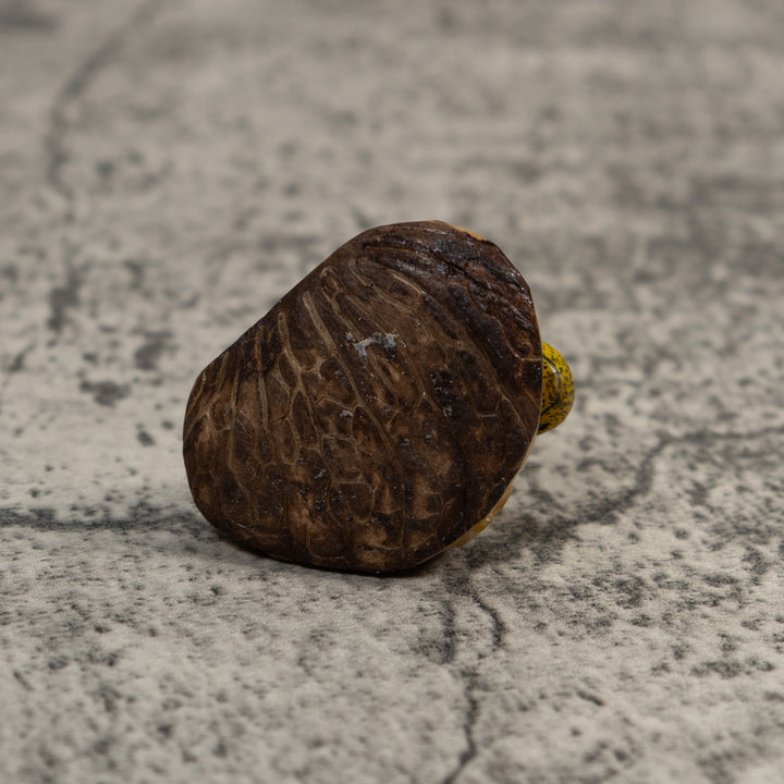 Yellow And Black Poison Dart Frog Tagua Carving