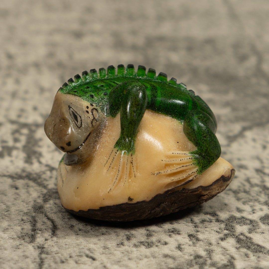 Iguana Lizard Reptile Tagua Carving