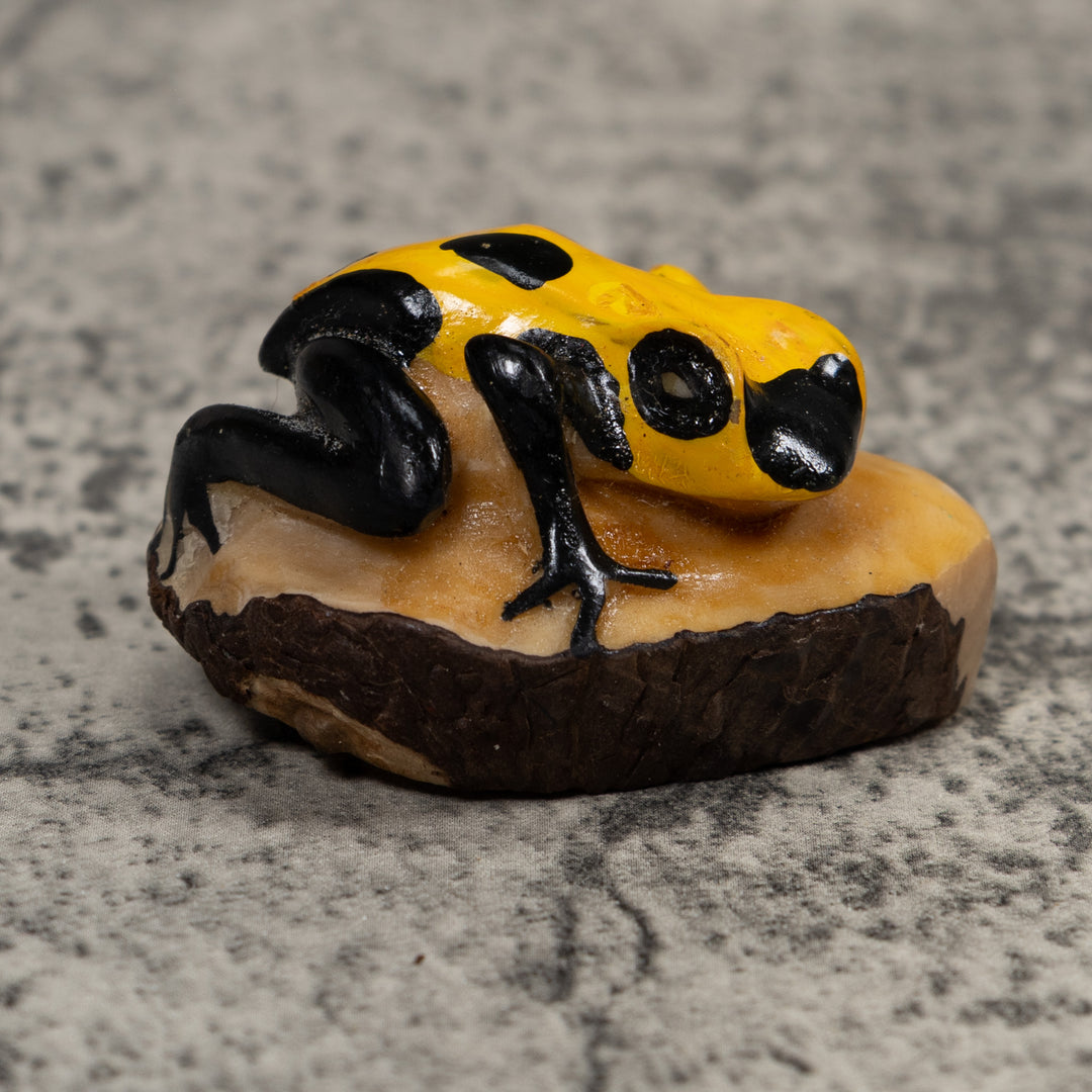 Poison Dart Frog Tagua Carving