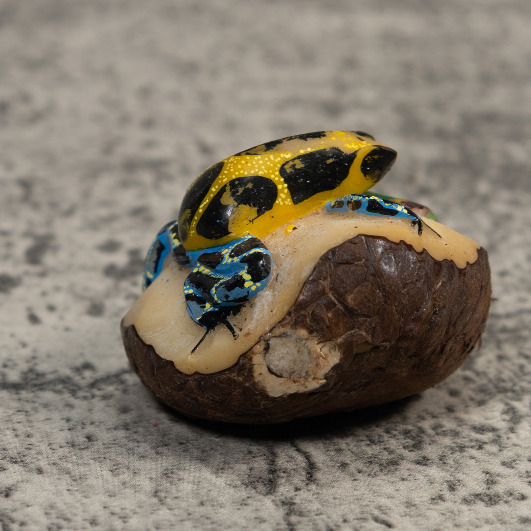 Blue Gold And Green Poison Dart Frog Tagua Carving