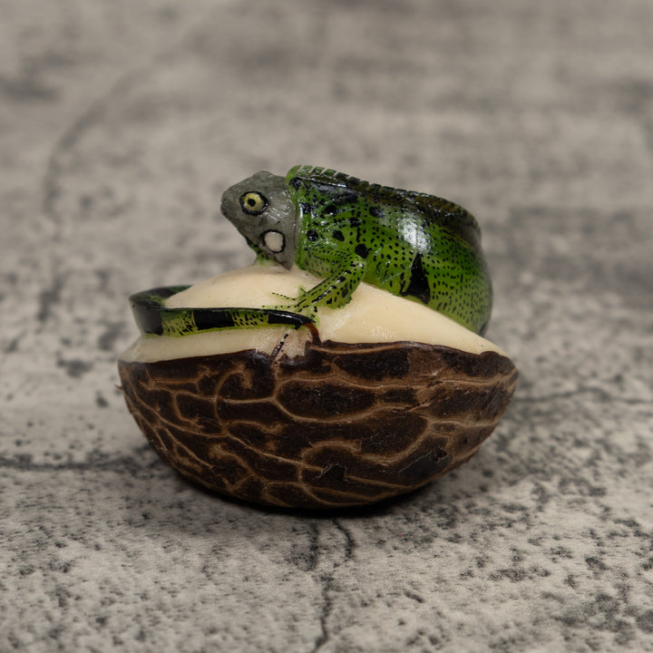 Iguana Lizard Reptile Tagua Carving