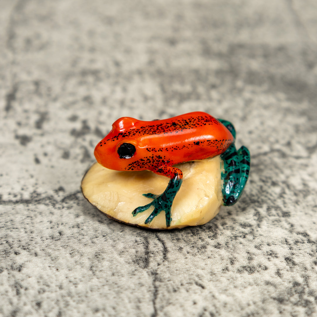 Red And Blue Poison Dart Frog Tagua Carving