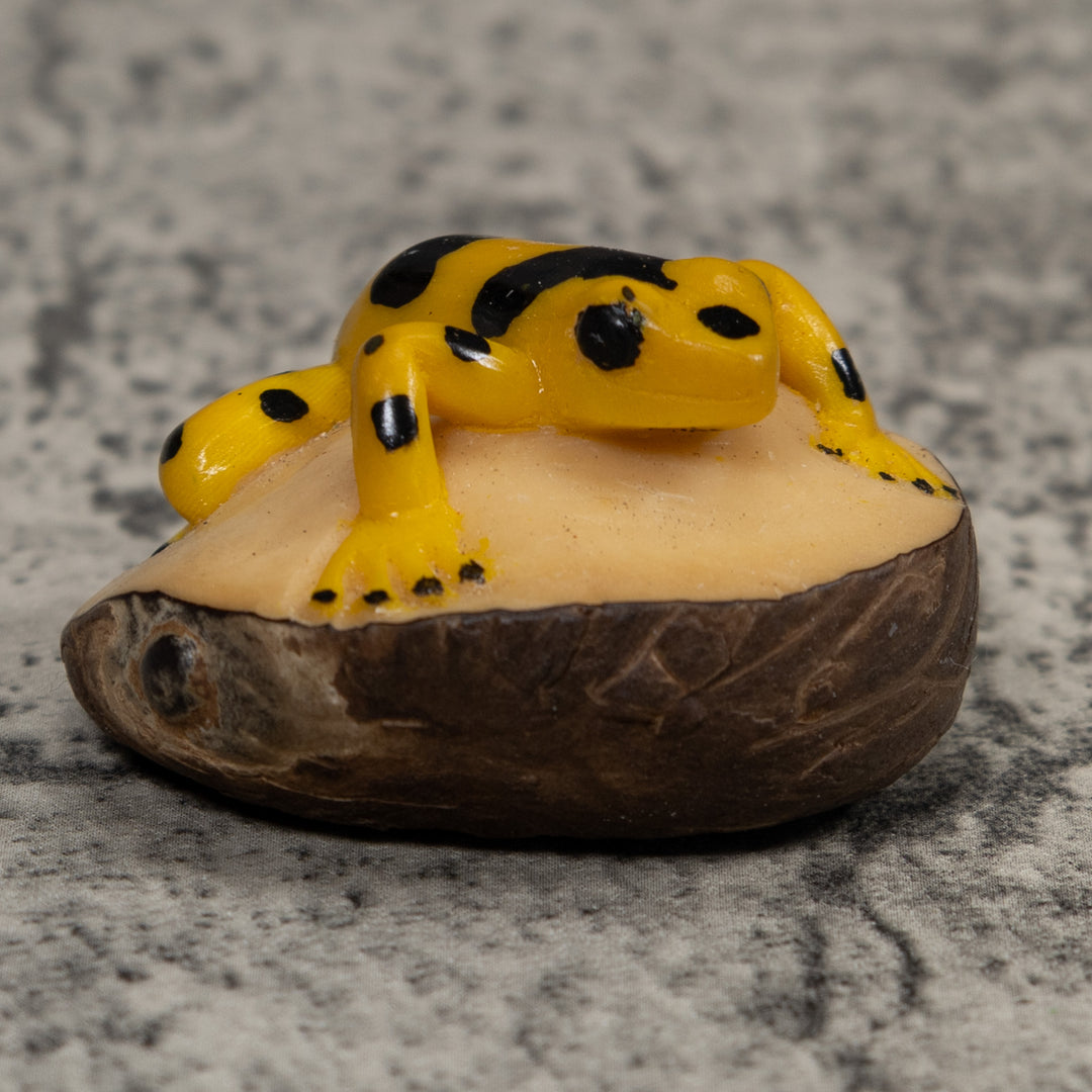 Golden Frog Tagua Carving