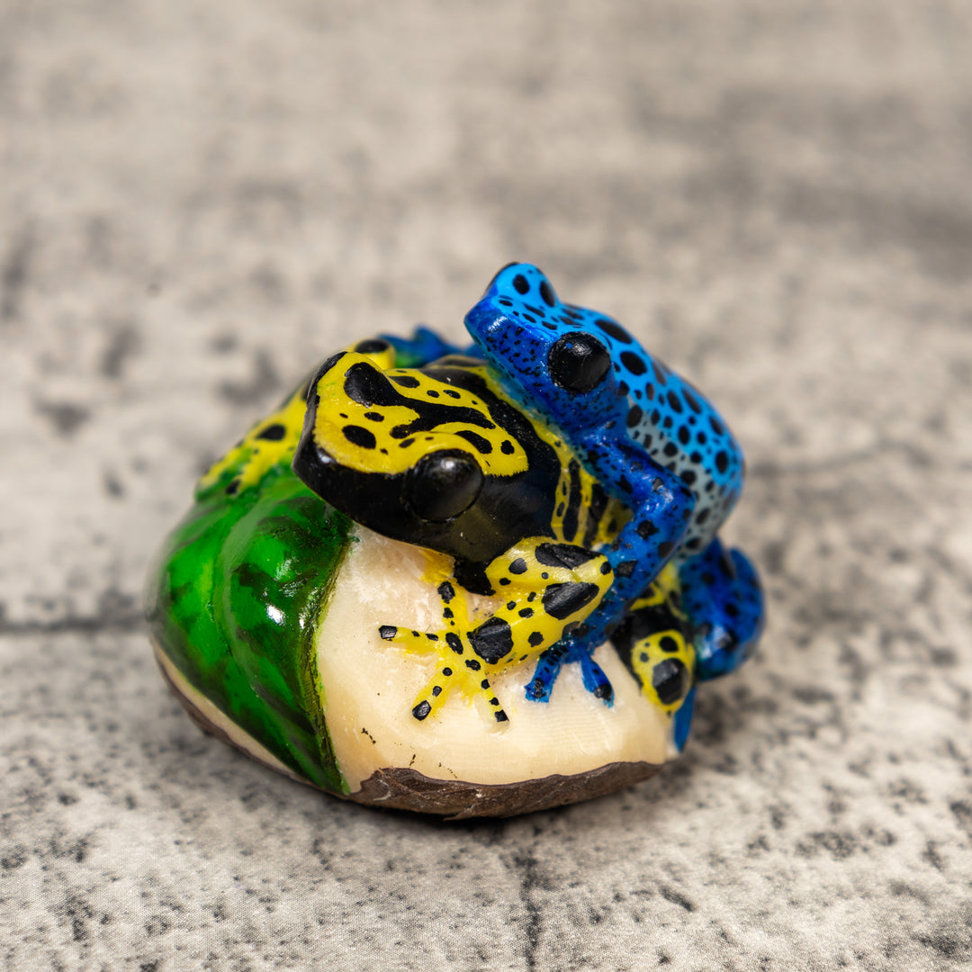Two Poison Dart Frog Tagua Carving
