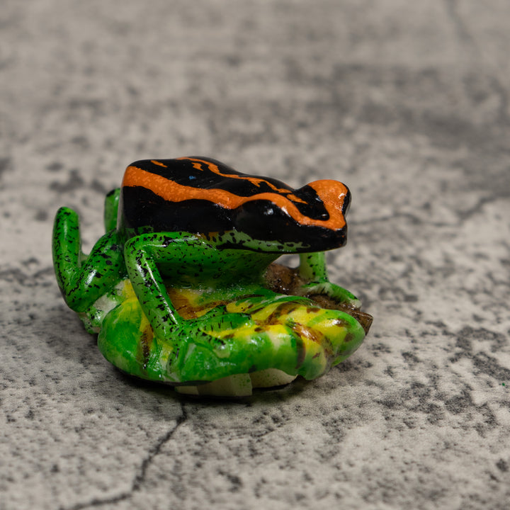 Poison Dart Frog Tagua Carving