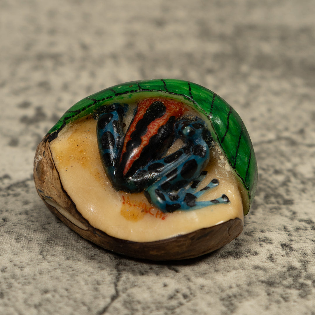 Hiding Poison Dart Frog Tagua Carving