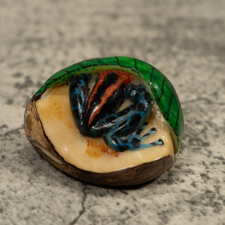 Hiding Poison Dart Frog Tagua Carving