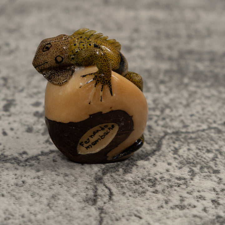 Iguana Lizard Reptile Tagua Carving