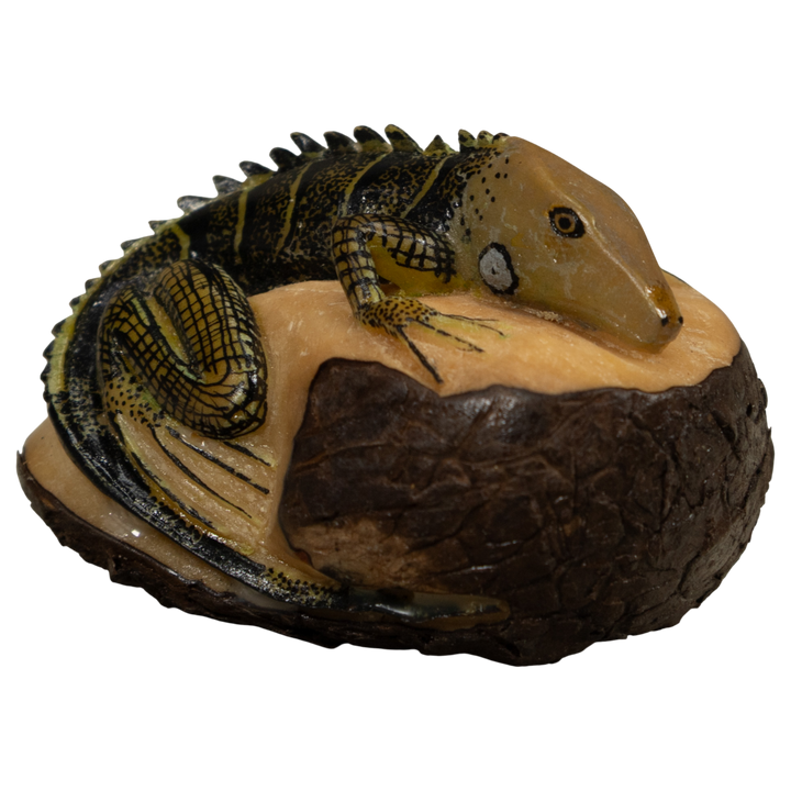 Iguana Lizard Tagua Carving
