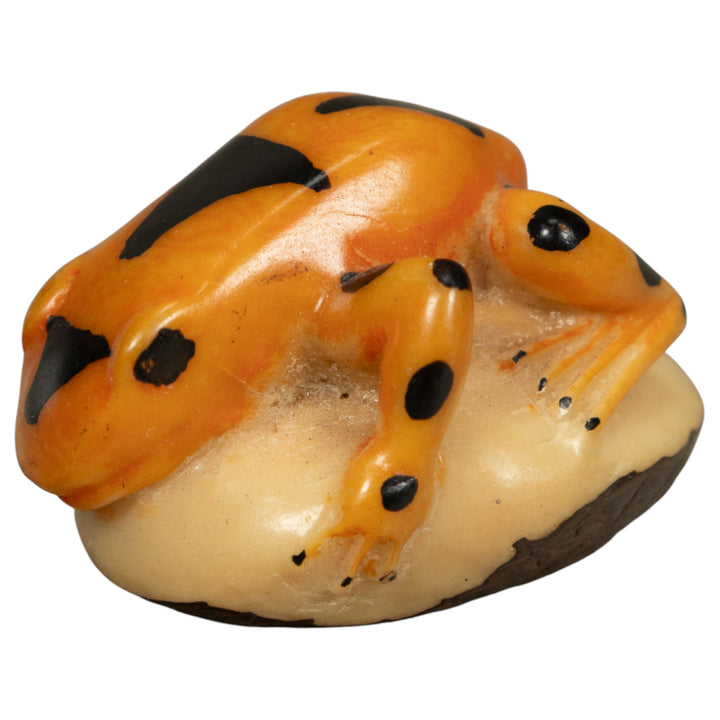 Vintage Gold And Black Poison Dart Frog Tagua Carving