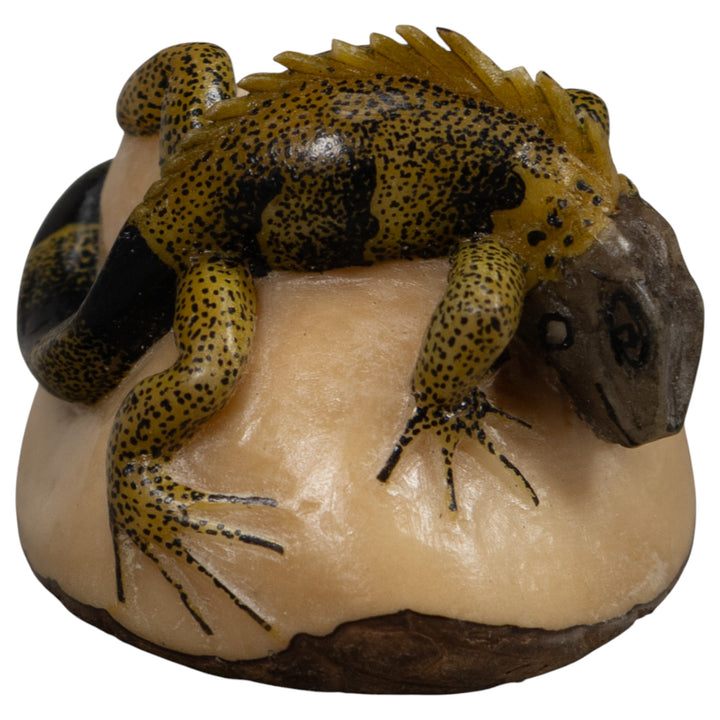 Iguana Lizard Reptile Tagua Carving