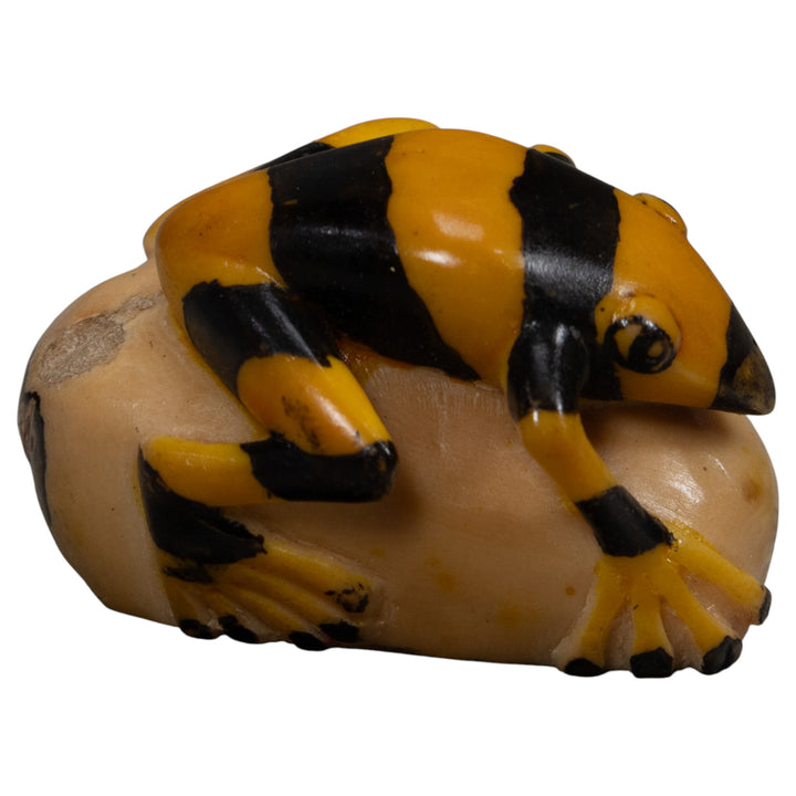 Vintage Poison Dart Frog Tagua Carving