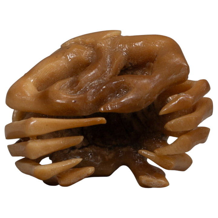 Vintage Crab Tagua Carving