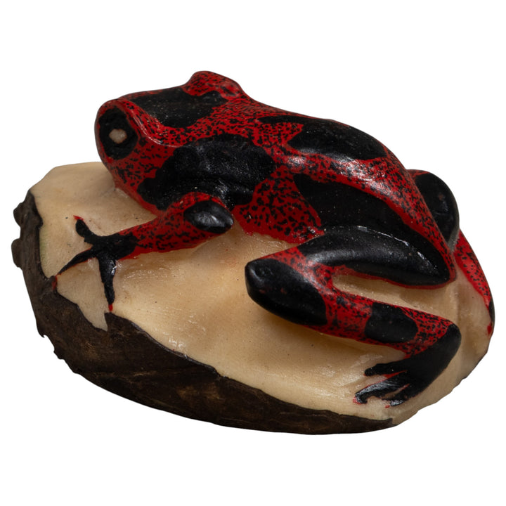 Vintage Red And Black Frog Tagua Carving