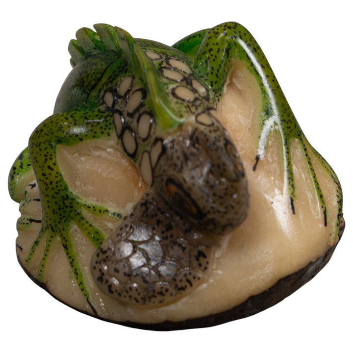 Iguana Lizard Reptile Tagua Carving