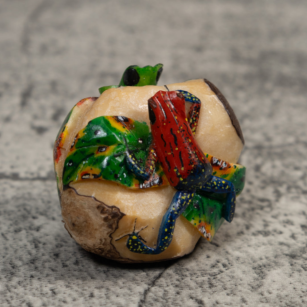Double Poison Dart Frog Tagua Carving