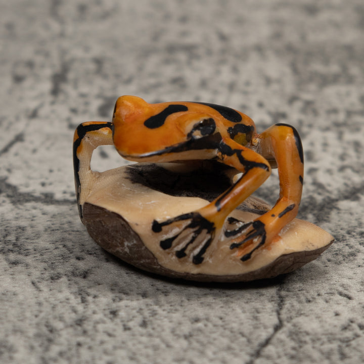 Vintage Black And Gold  Poison Dart Frog Tagua Carving