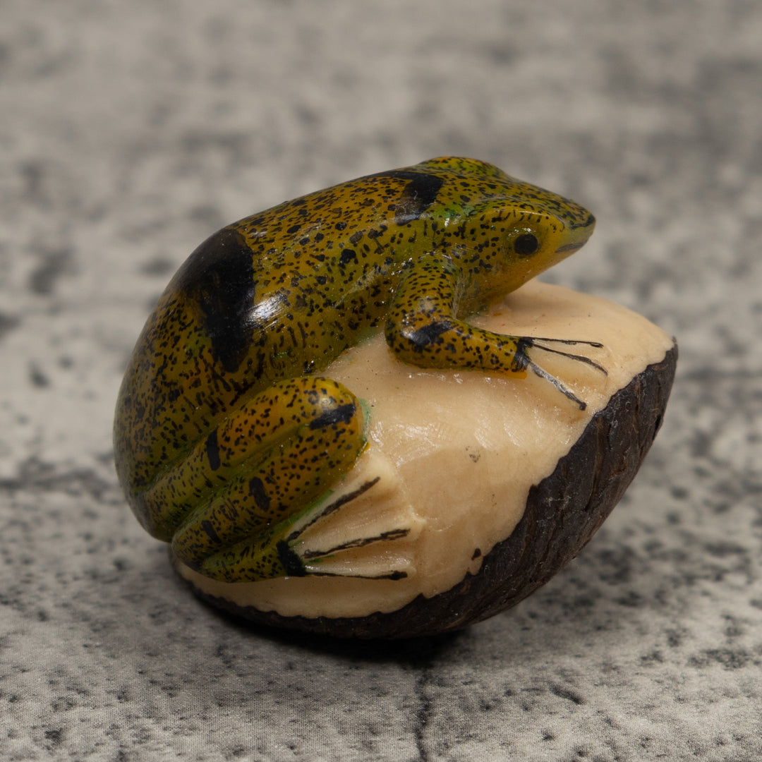 Jungle Frog Toad Tagua Carving