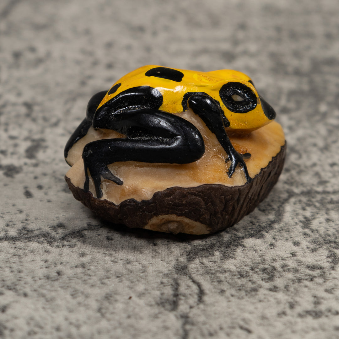 Poison Dart Frog Tagua Carving