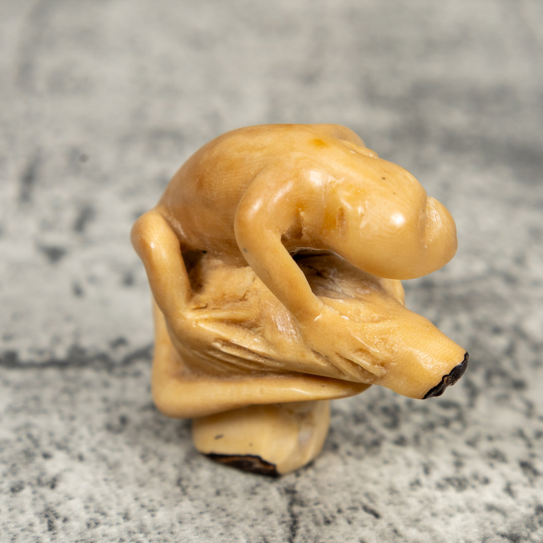 Vintage Natural White And Dyed Monkey Tagua Carving