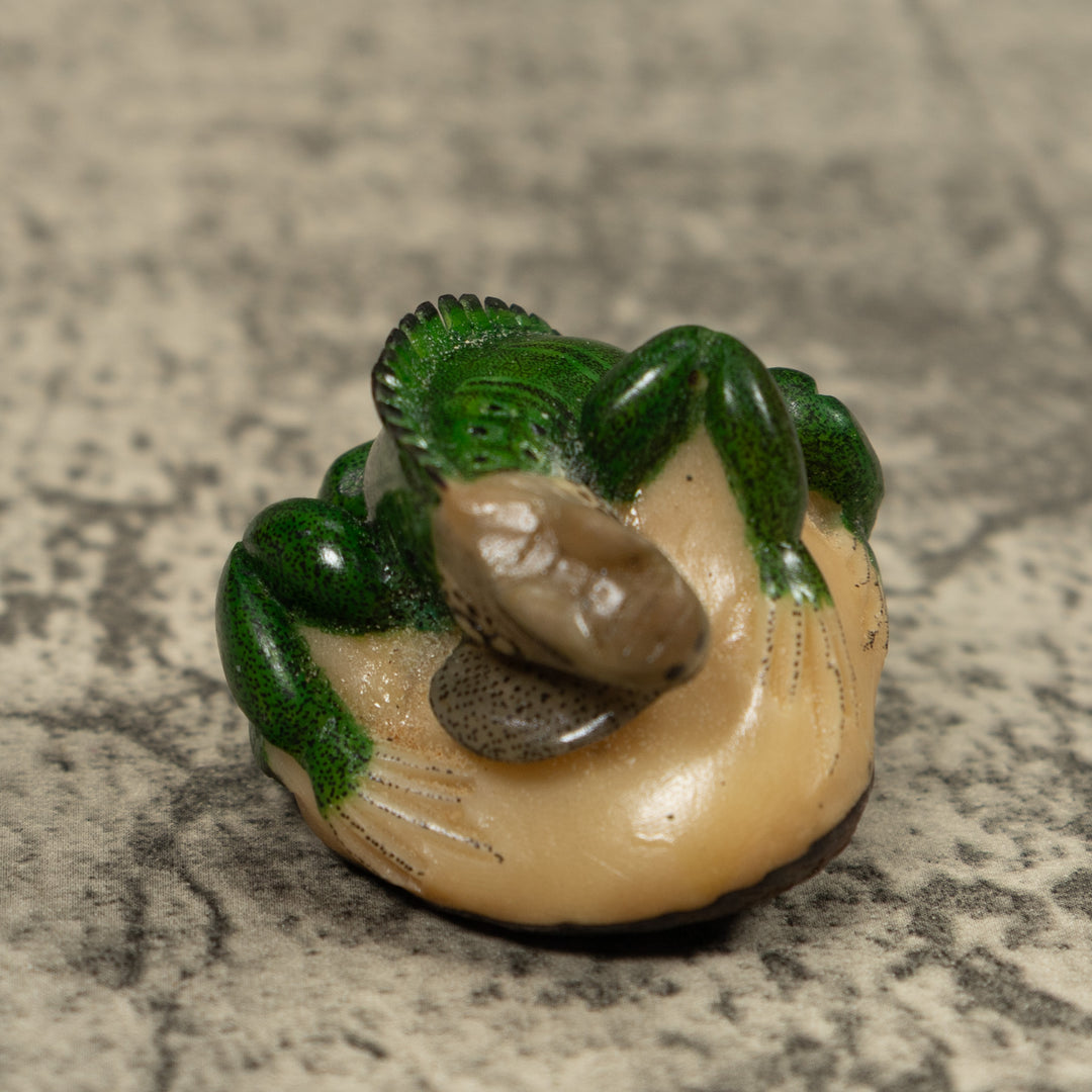 Iguana Lizard Reptile Tagua Carving