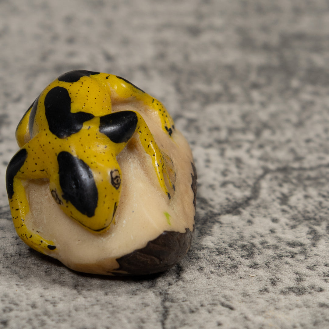 Vintage Yellow And Black Frog Tagua Carving