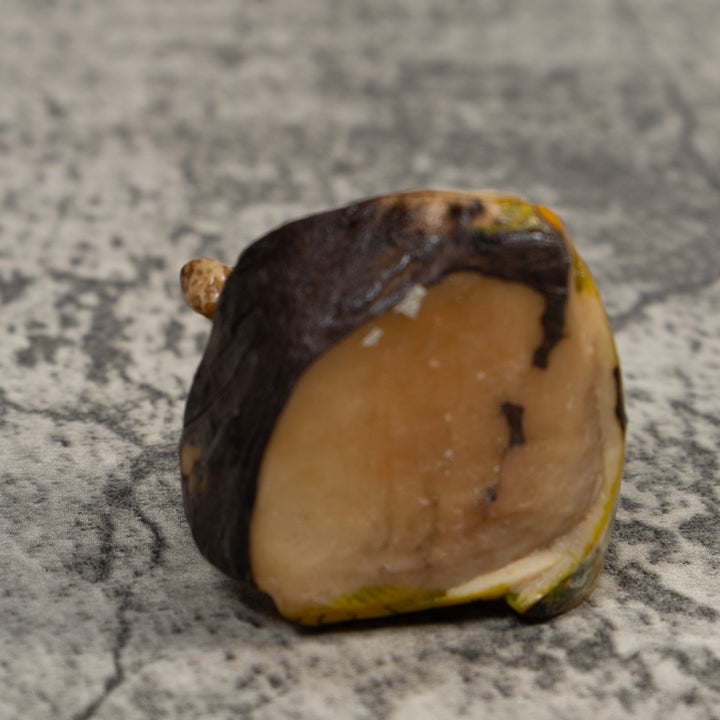 Vintage Armadillo Tagua Carving