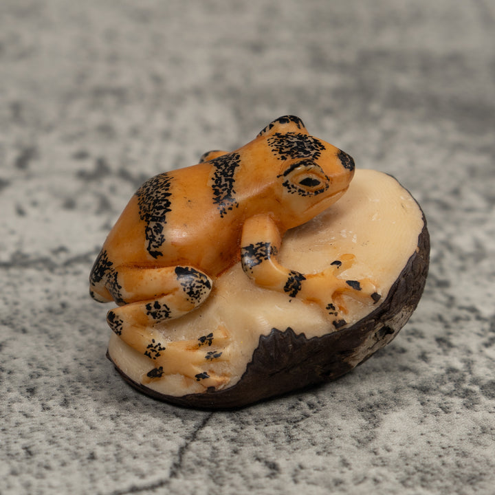 Vintage Black And Gold Frog Tagua Carving