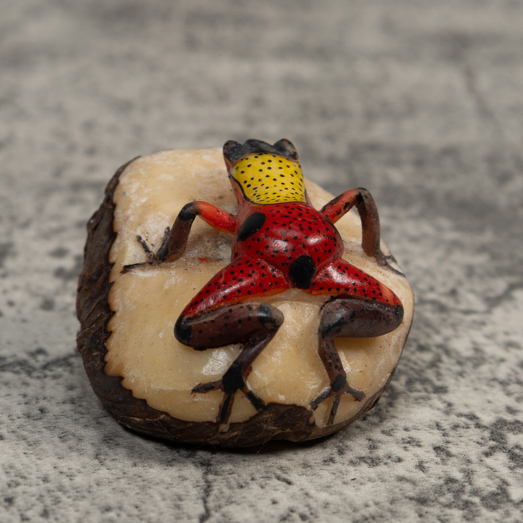Vintage Red And Yellow Poison Dart Frog Tagua Carving