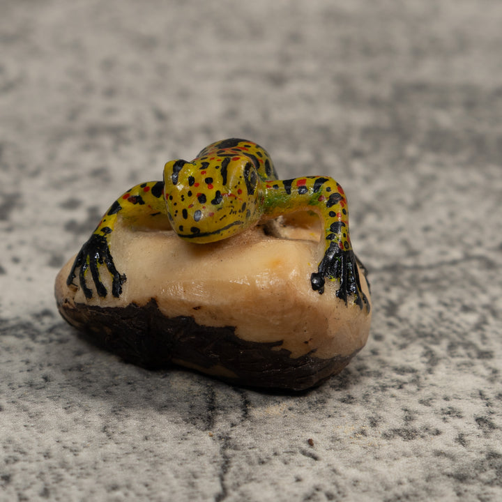 Vintage Spotted Poison Dart Frog Tagua Carving