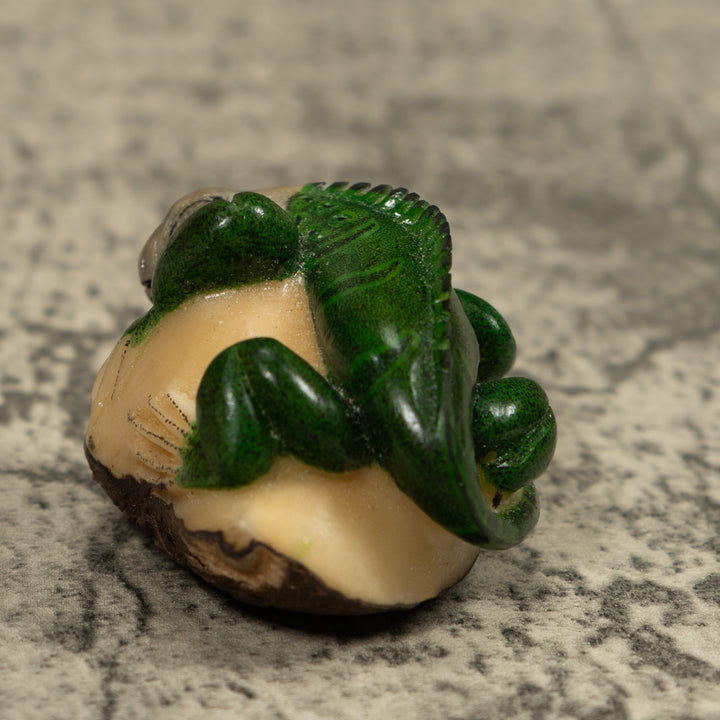 Iguana Lizard Reptile Tagua Carving