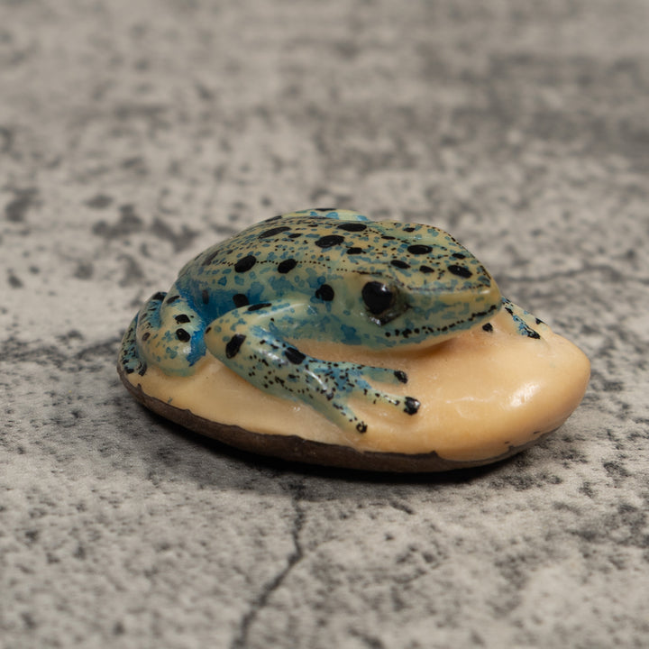 Vintage Black And Blue Frog Tagua Carving