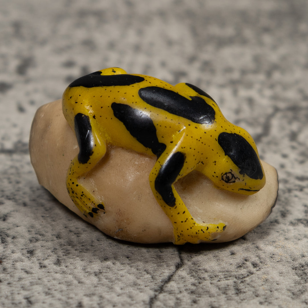 Vintage Yellow And Black Frog Tagua Carving